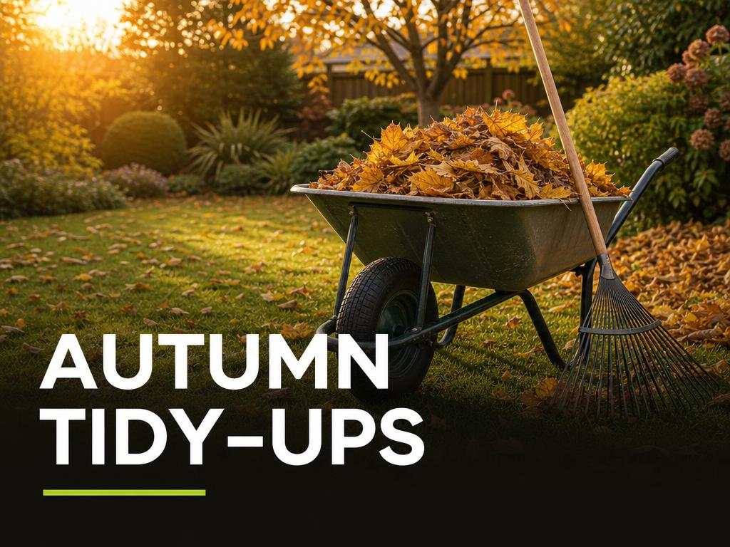 Wheelbarrow full of autumn leaves in a garden, with the words Autumn Tidy-Ups